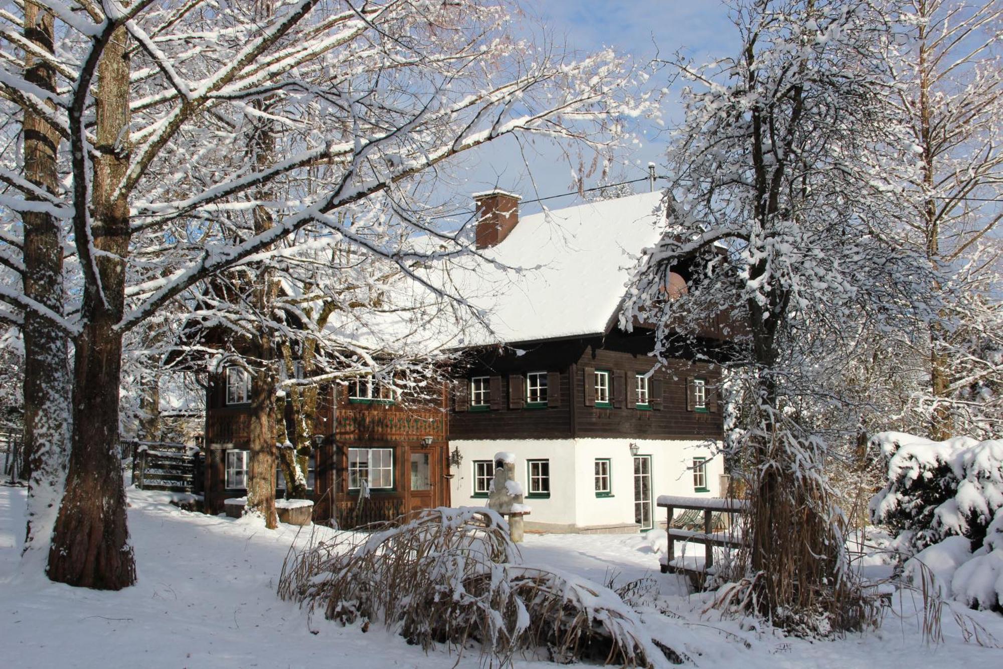 Villa Dachstein Chalet FH Gut - Eisenlehen Bad Goisern am Hallstättersee Exterior foto